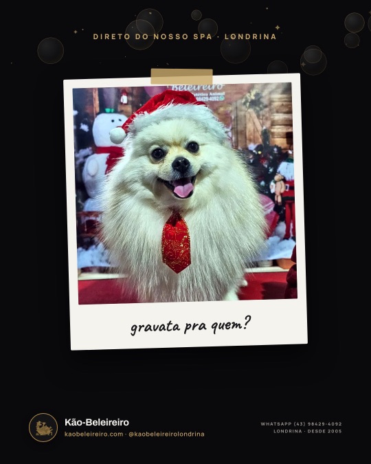 gravata pra quem?
