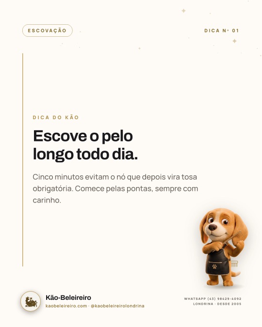 Escove o pelo longo todo dia.