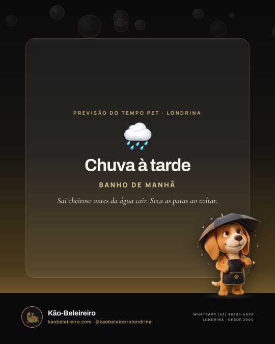 Chuva à tarde — BANHO DE MANHÃ